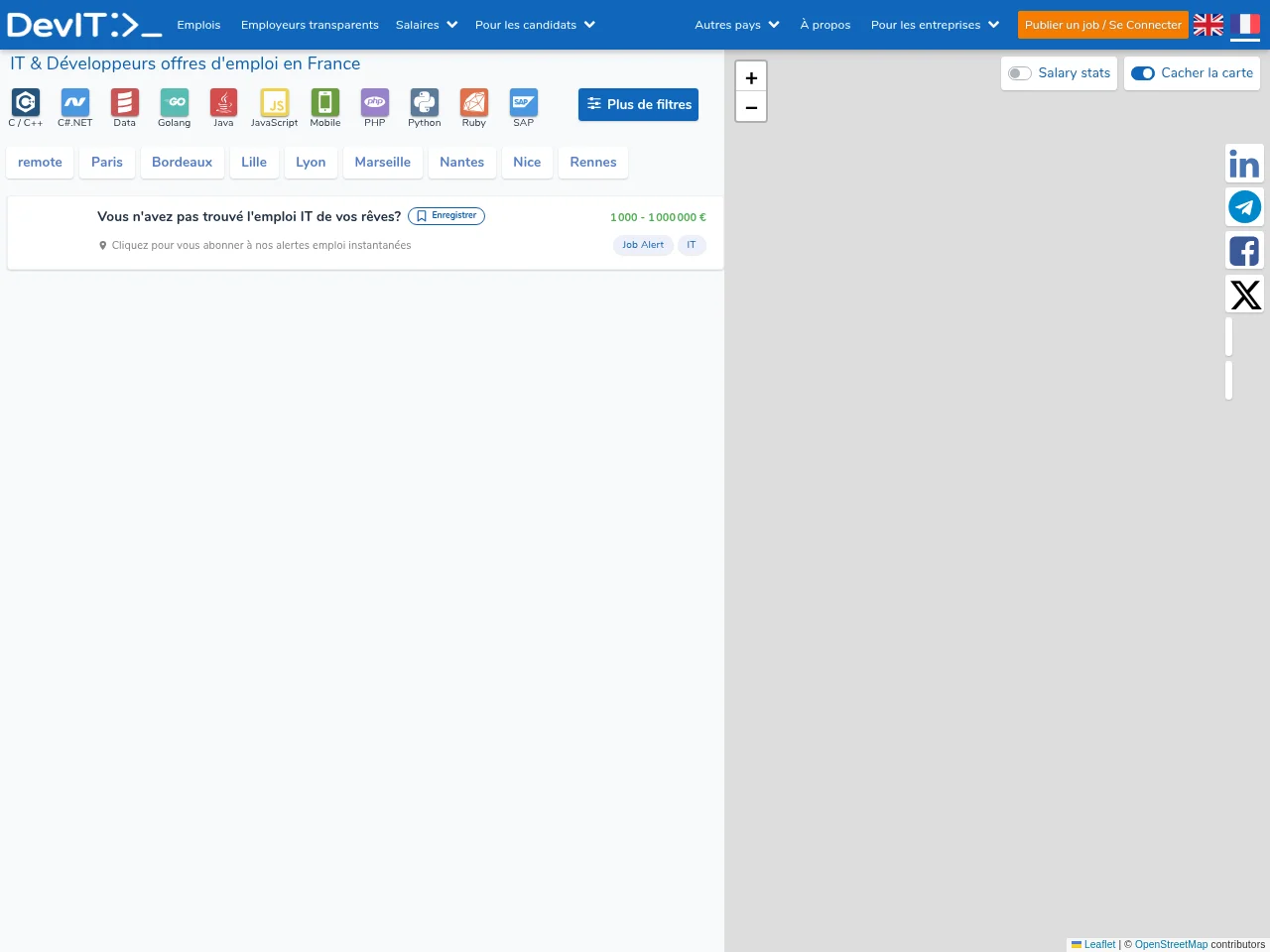 DevITJobs France job board platform screenshot showing job search interface