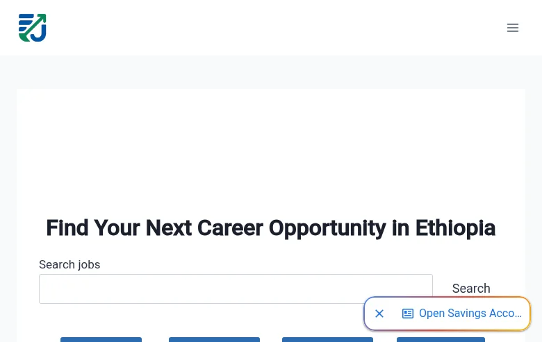 EthioJobsHub job board platform screenshot showing job search interface