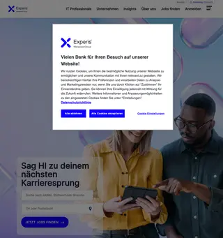 Experis screenshot preview
