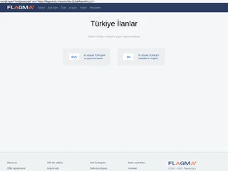 Flagma screenshot preview