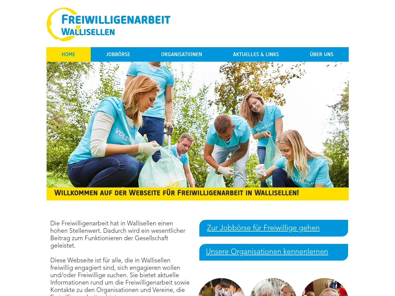 Freiwilligenarbeit Wallisellen screenshot Freiwilligenarbeit Wallisellen job board platform screenshot showing job search interface