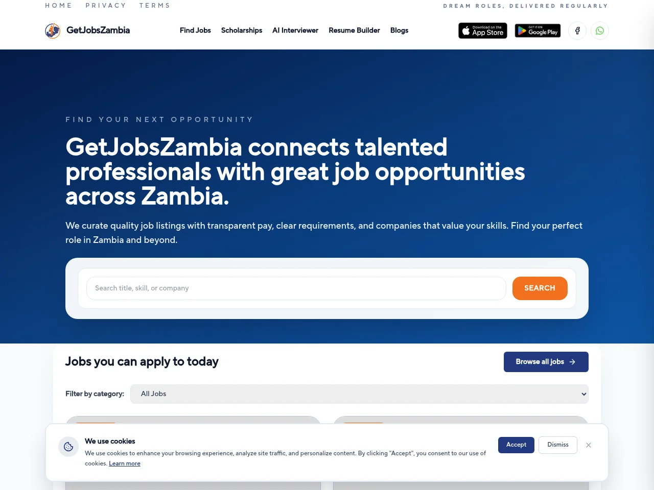 GetJobsZambia screenshot GetJobsZambia job board platform screenshot showing job search interface