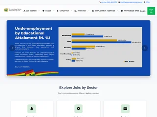 Ghana Labour Market Information System platform preview