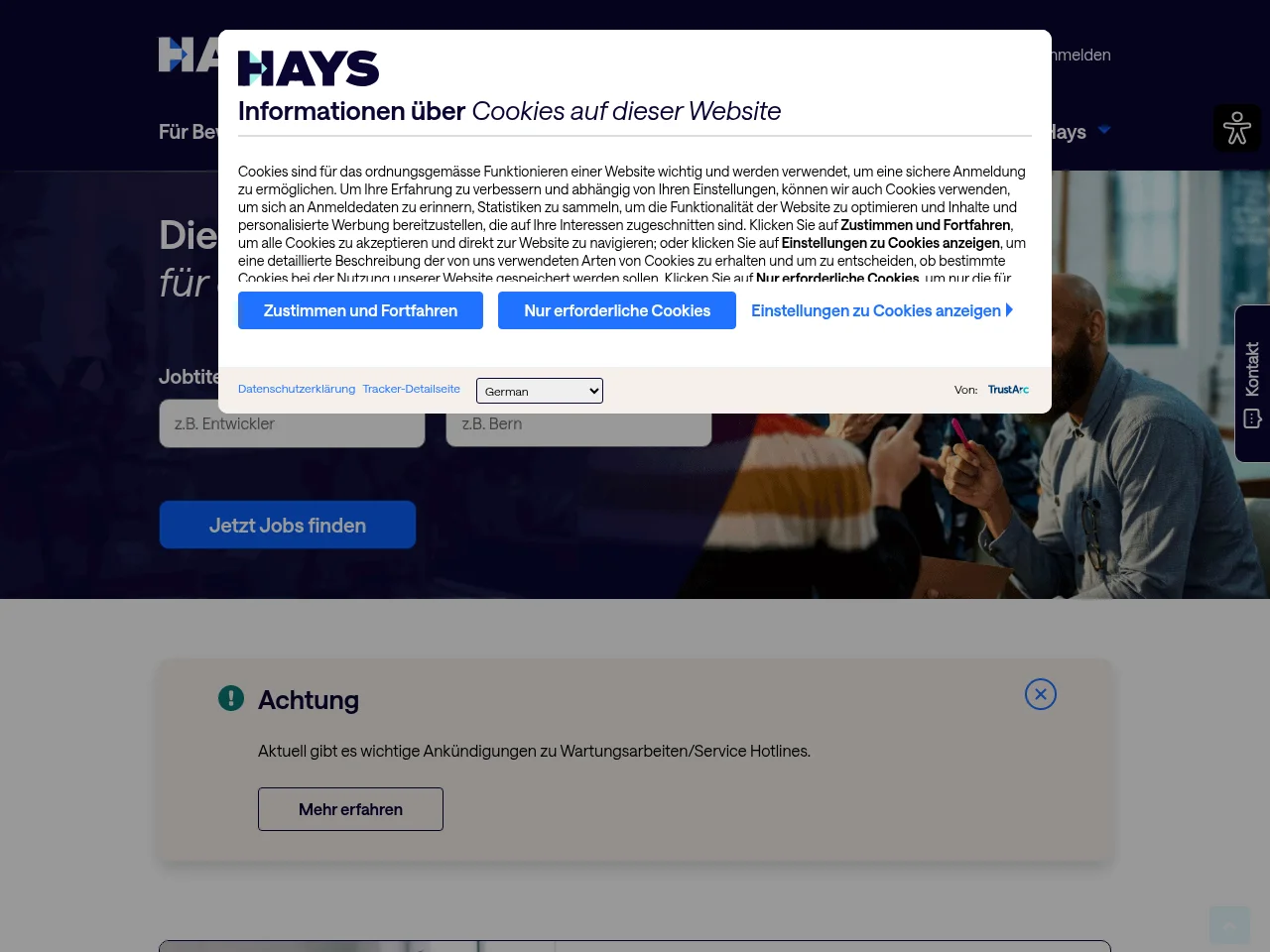 Hays job board platform screenshot showing job search interface