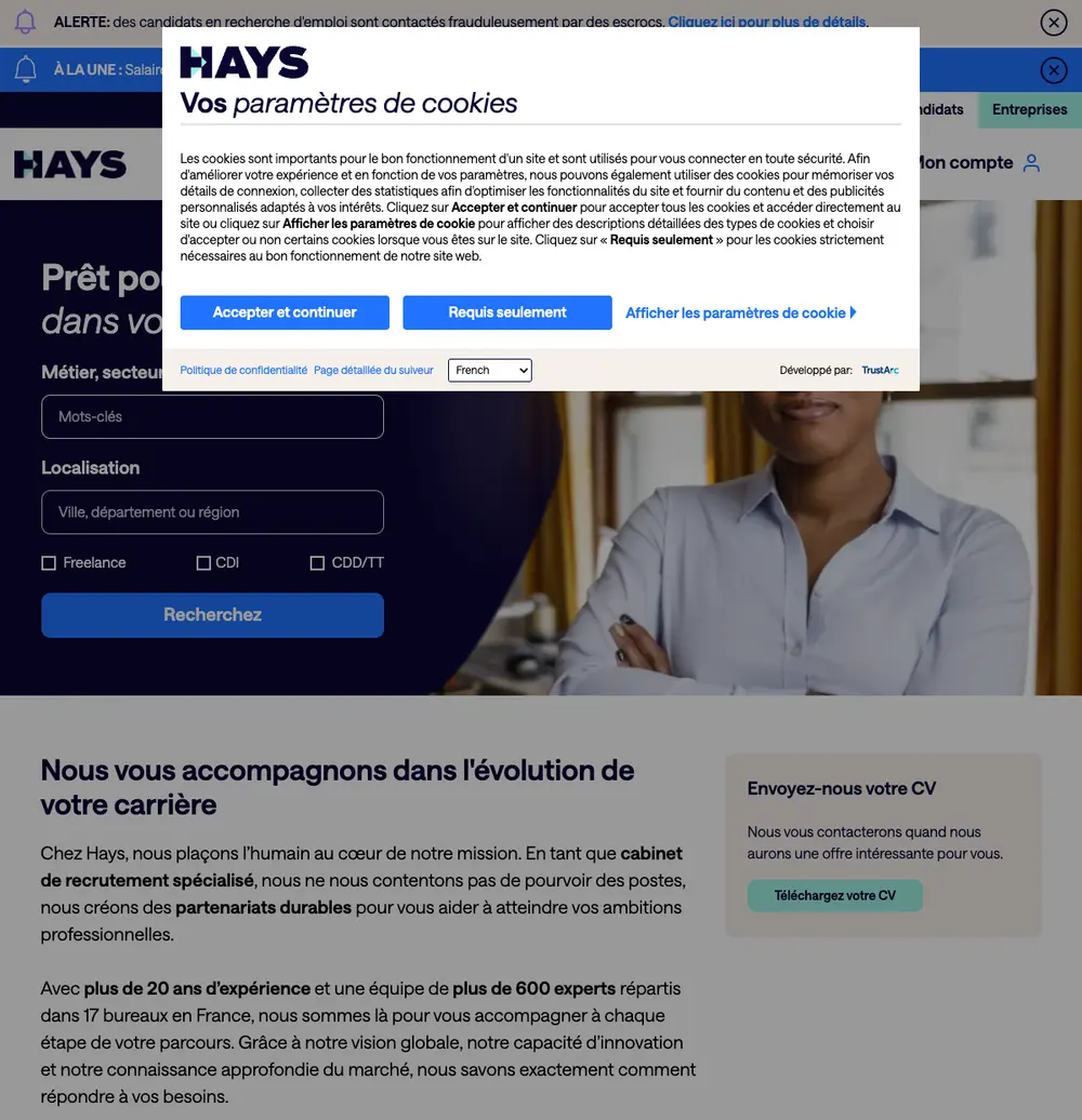 Hays France job board platform screenshot showing job search interface