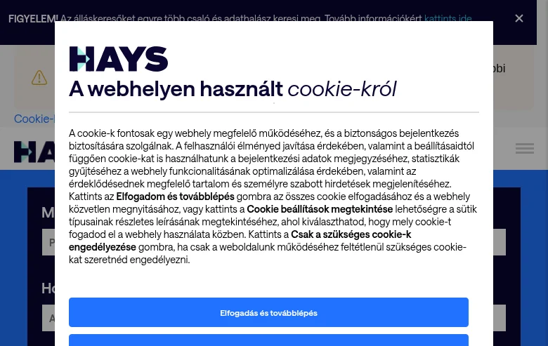 Hays Hungary job board platform screenshot showing job search interface