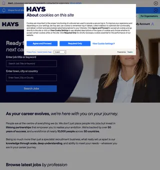 Hays Ireland platform preview