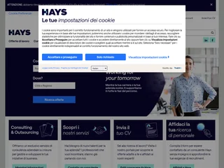 Hays screenshot preview