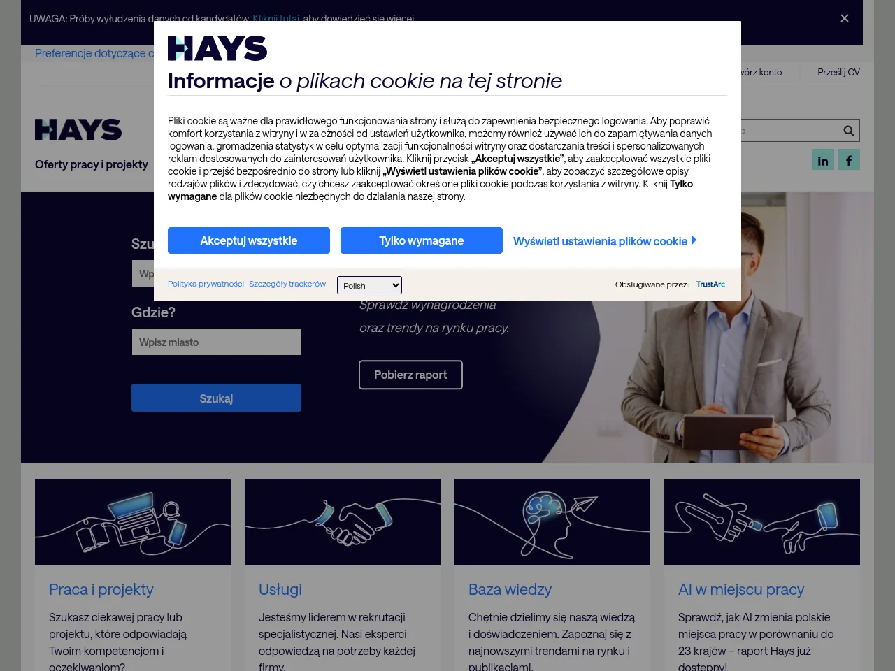 Hays Poland job board platform screenshot showing job search interface