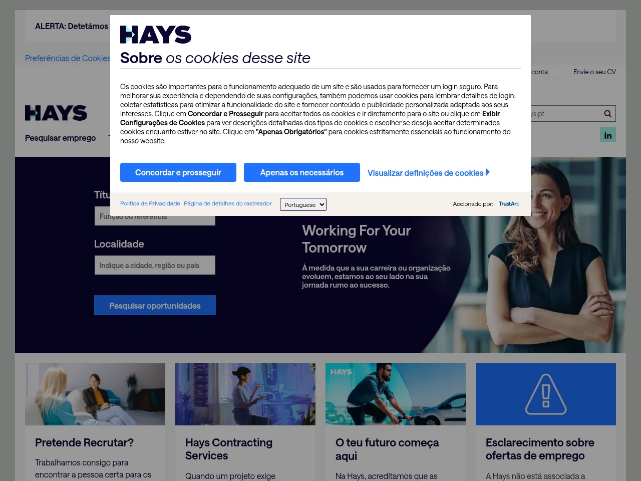 Hays Portugal screenshot Hays Portugal website screenshot