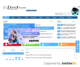 黑龙江大学就业信息网 platform preview 黑龙江大学就业信息网 platform preview