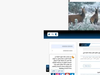 Wazaef4u platform preview Wazaef4u platform preview