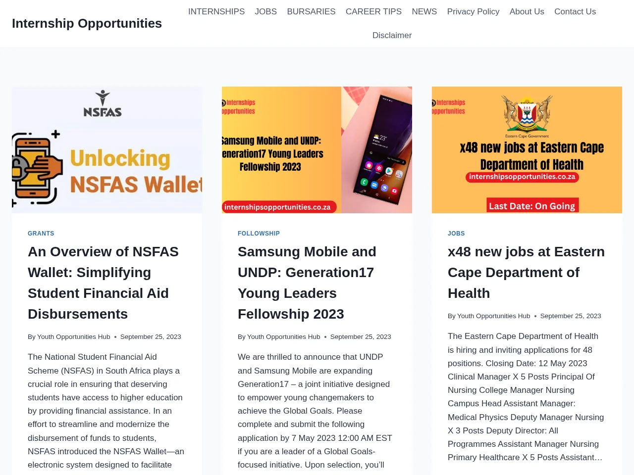 Internship Opportunities job board platform screenshot showing job search interface