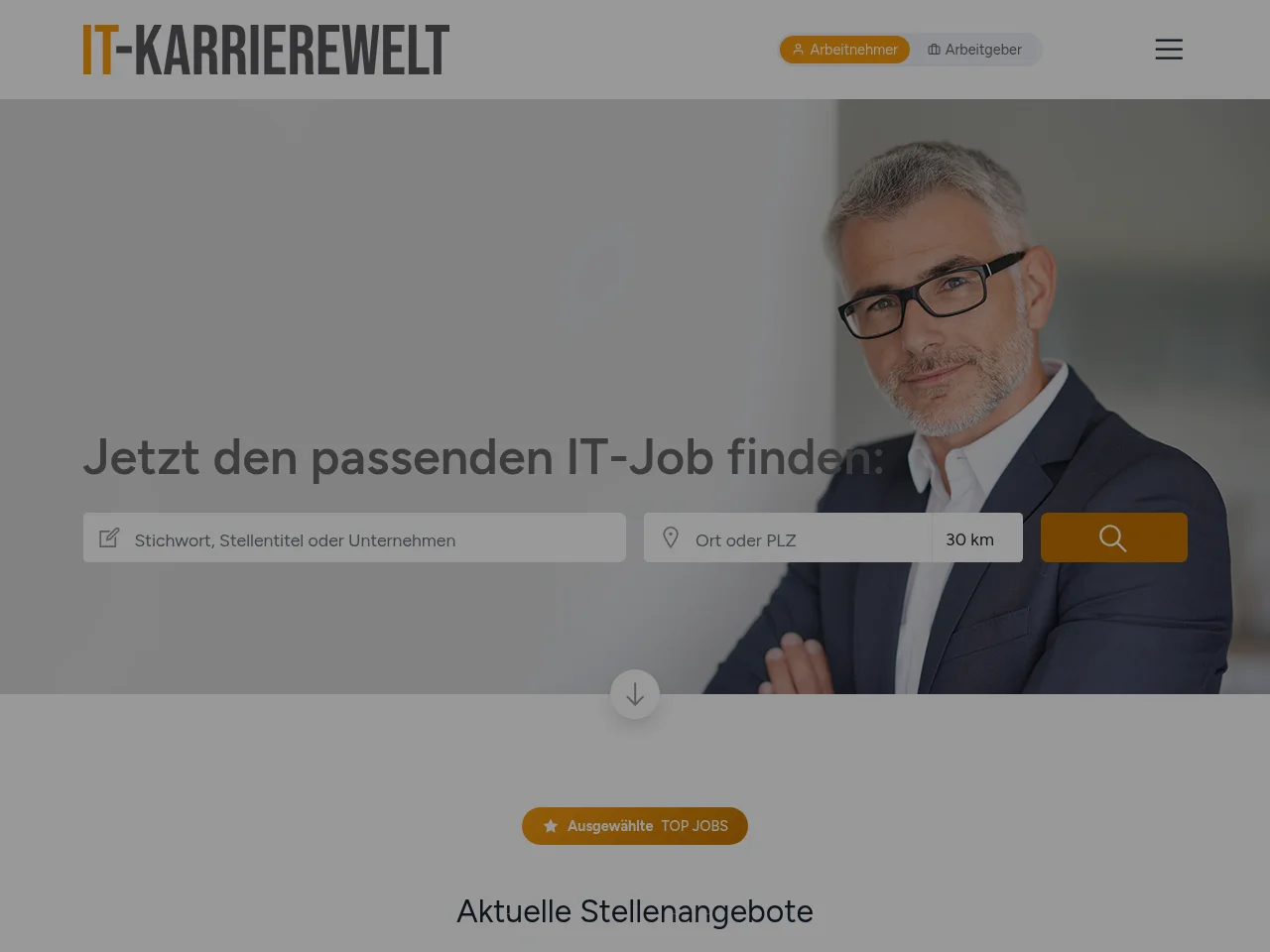 IT-KARRIEREWELT.DE job board platform screenshot showing job search interface
