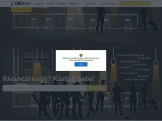 Jóállás.ro screenshot preview