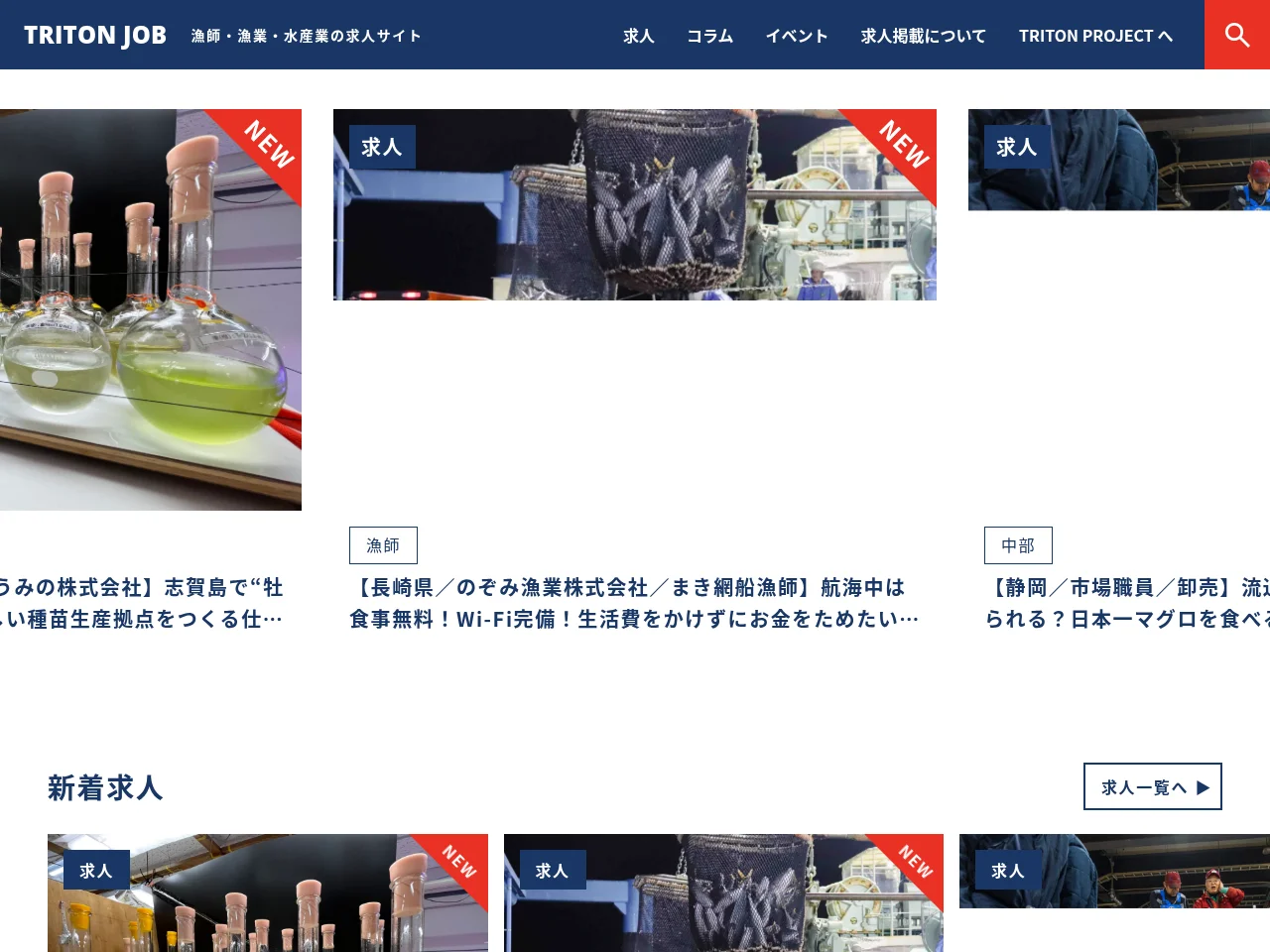 TRITON JOB job board platform screenshot showing job search interface