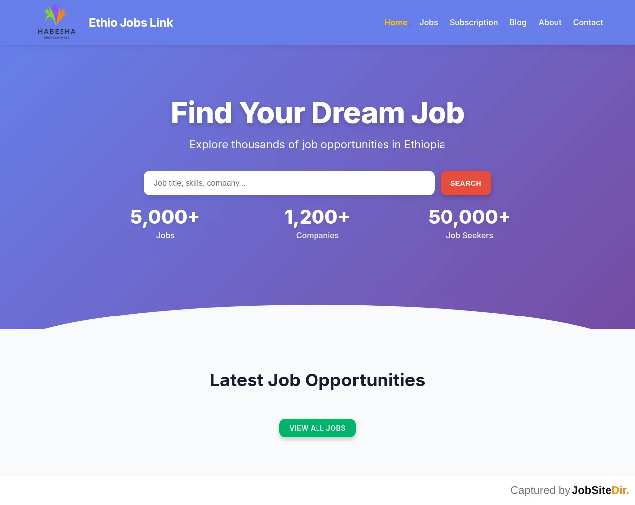 Ethio Jobs Link website screenshot