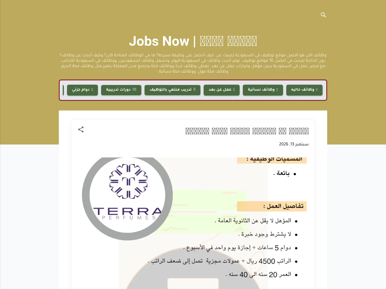 Jobs Now job board platform screenshot showing job search interface