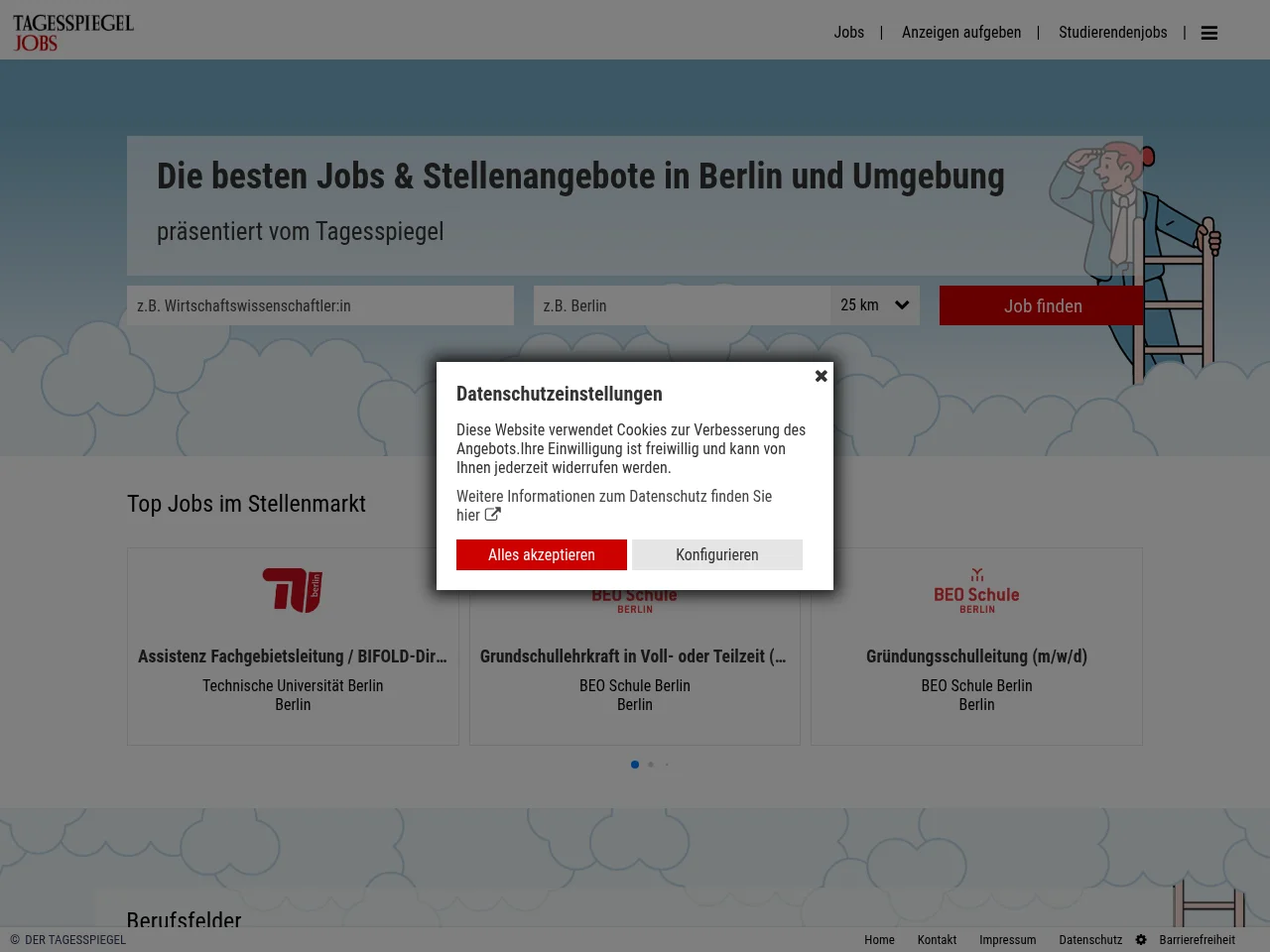 Tagesspiegel Jobbörse job board platform screenshot showing job search interface