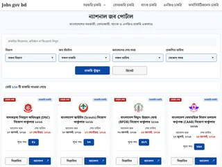 National Job Portal platform preview