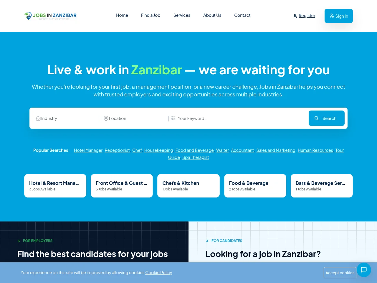 Jobs in Zanzibar website screenshot