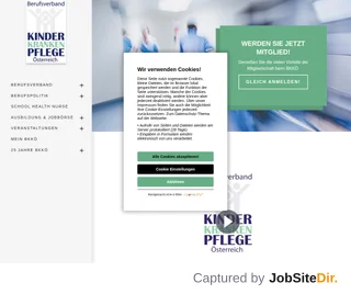Berufsverband Kinderkrankenpflege Österreich screenshot preview