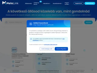 MeloLink platform preview