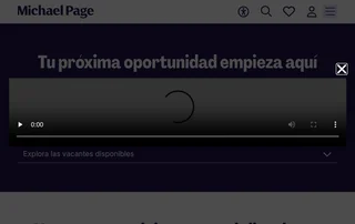 Michael Page screenshot preview Michael Page screenshot preview