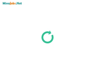 MinaJobs.net screenshot preview