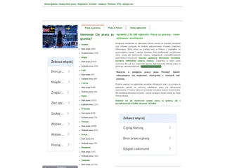 Praca4u.net platform preview