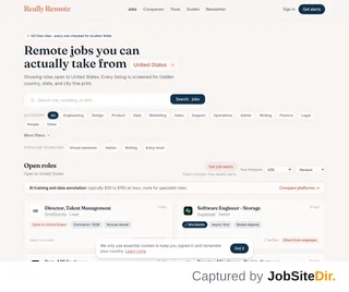 Really Remote platform preview