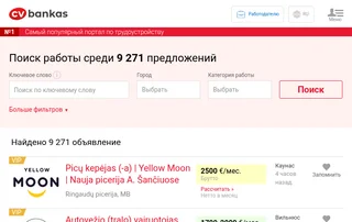 CVbankas.lt screenshot preview