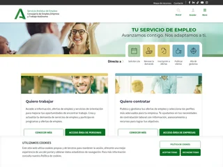 SAEMPLEO platform preview