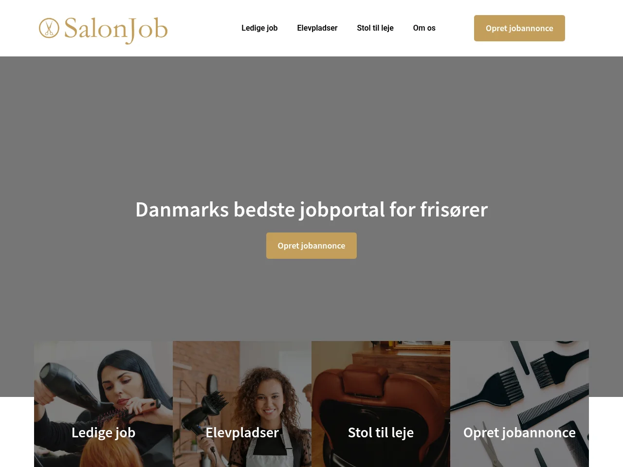 SalonJob job board platform screenshot showing job search interface