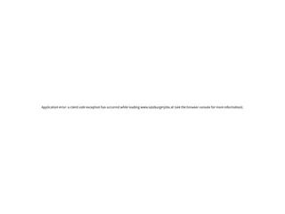 Salzburger Jobs platform preview Salzburger Jobs platform preview