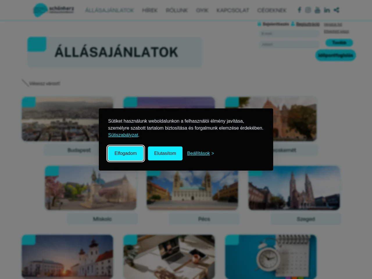 Schönherz Iskolaszövetkezet job board platform screenshot showing job search interface