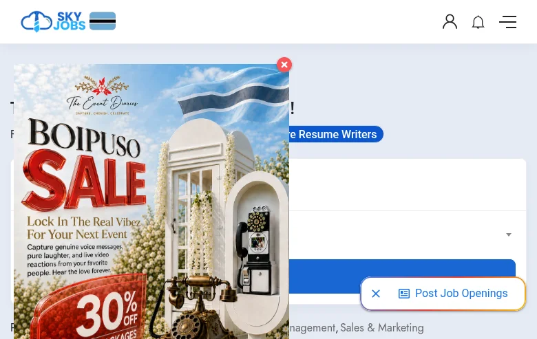 Sky Jobs job board platform screenshot showing job search interface