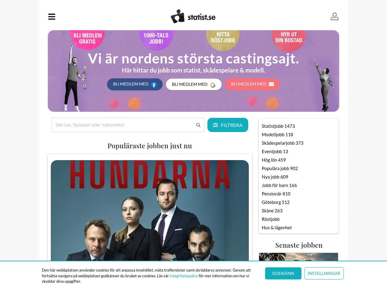 Statist.se screenshot Statist.se job board platform screenshot showing job search interface