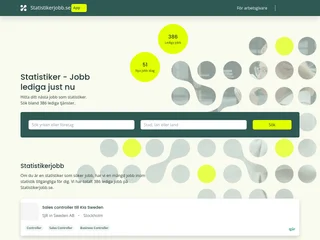 Statistikerjobb platform preview