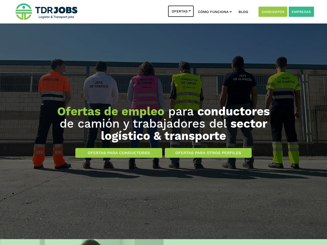 TDR JOBS screenshot TDR JOBS website screenshot