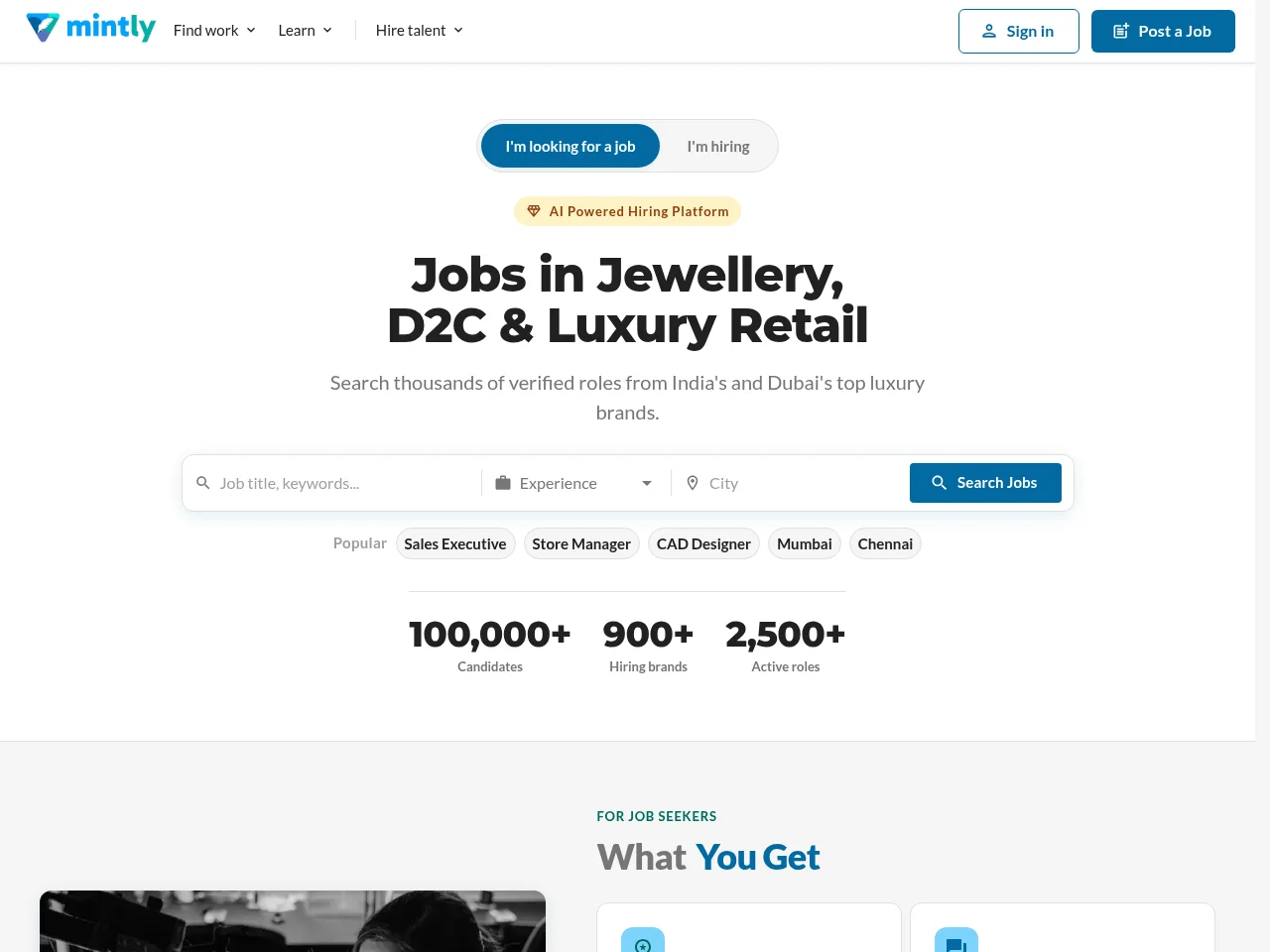 Mintly job board platform screenshot showing job search interface