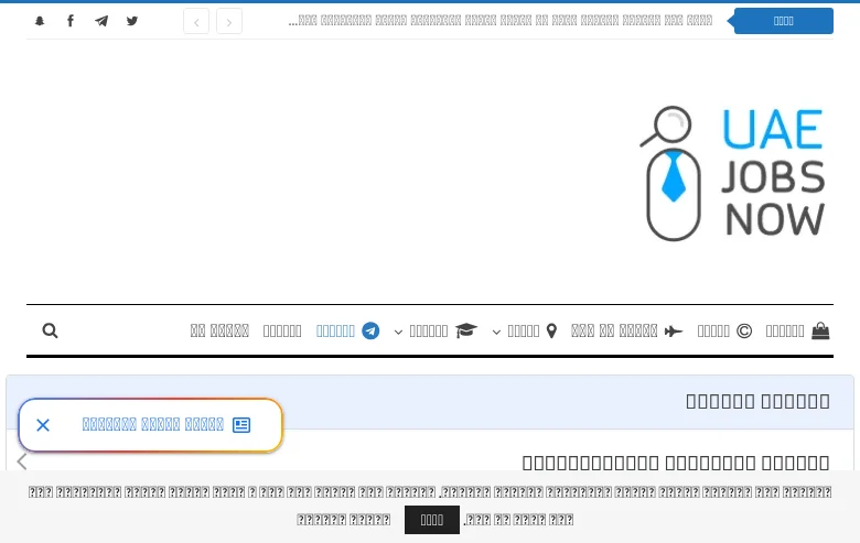UAE Jobs Now screenshot UAE Jobs Now job board platform screenshot showing job search interface