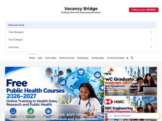 Vacancy Bridge screenshot preview