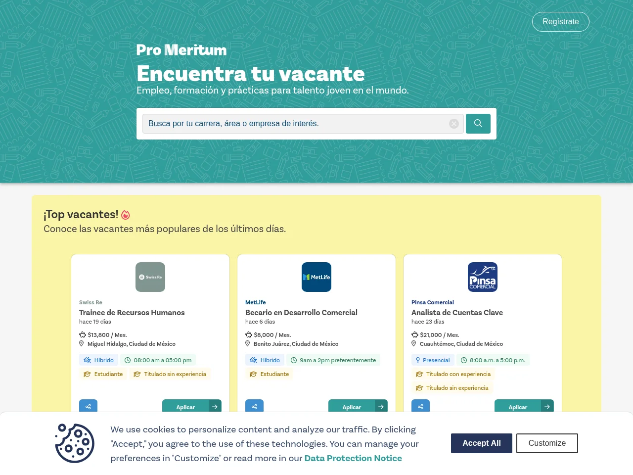 Vacantes Pro Meritum job board platform screenshot showing job search interface