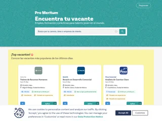 Vacantes Pro Meritum screenshot preview