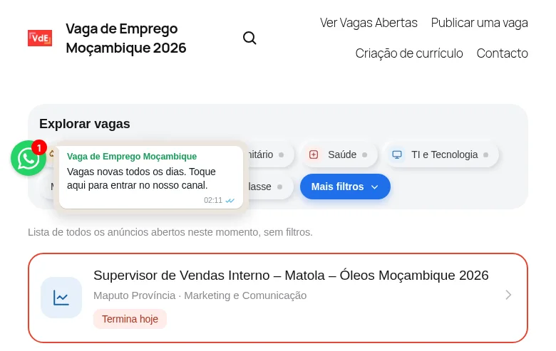 Vagas de Emprego Moçambique screenshot Vagas de Emprego Moçambique job board platform screenshot showing job search interface