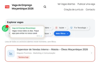Vagas de Emprego Moçambique screenshot preview
