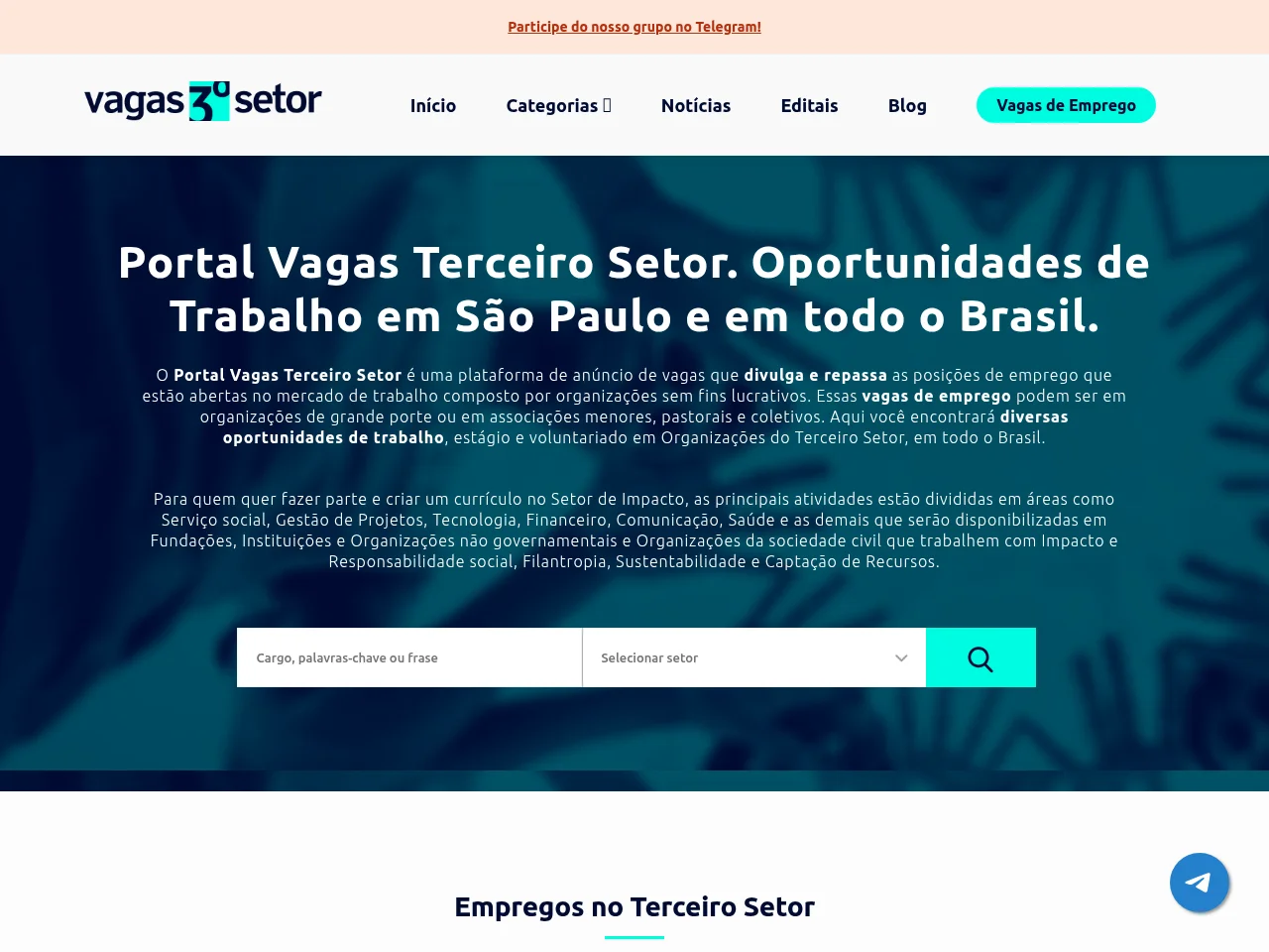 Portal Vagas Terceiro Setor job board platform screenshot showing job search interface