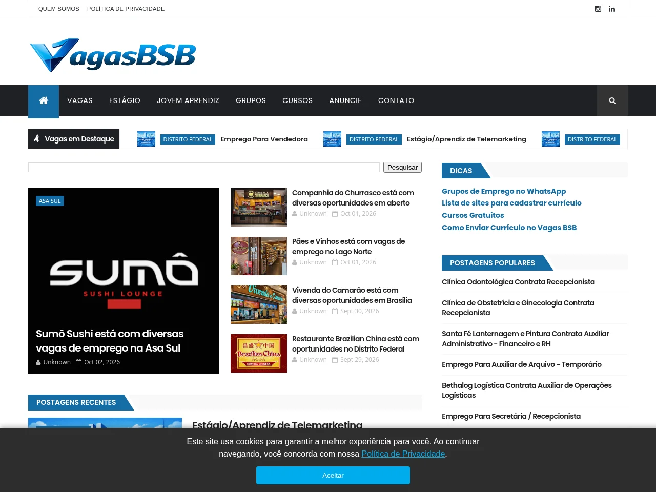Vagas BSB job board platform screenshot showing job search interface