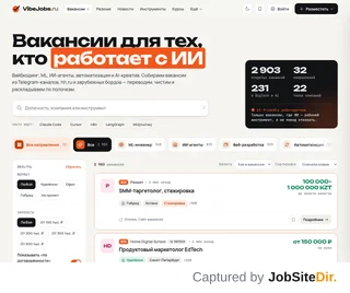 VibeJobs platform preview